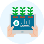 Web Icon 3