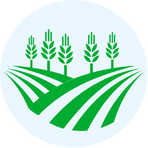 Web Icon 6