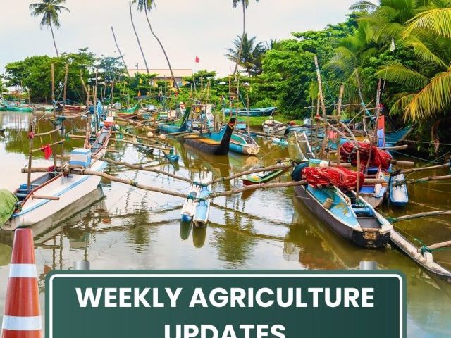 weekly agriculture updates