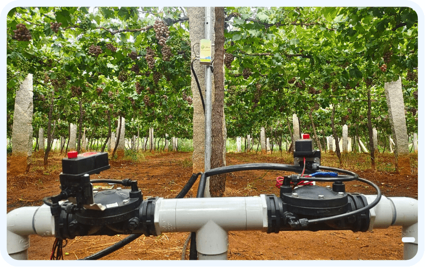 Farm Automation